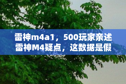 500玩家亲述雷神M4疑点图片