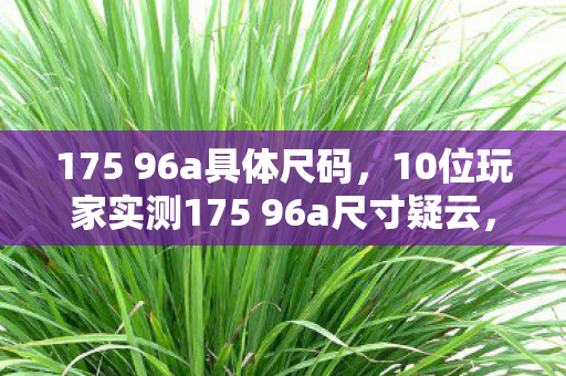 175 96a具体尺码,10位玩家实测175 96a尺寸疑云,这数据谁看了不绷? 175 96a具体尺码,10位玩家实测175 96a尺寸疑云,这数据谁看了不绷?