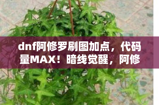 阿修罗刷图流派让我头皮发麻的生存法则图片