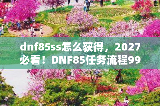 dnf85ss怎么获得图片