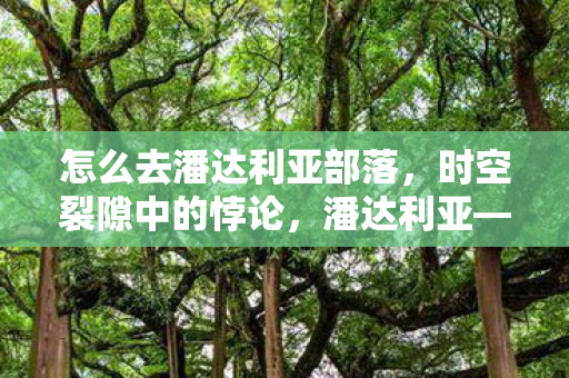 怎么去潘达利亚部落，时空裂隙中的悖论，潘达利亚——自由意志的终极审判场