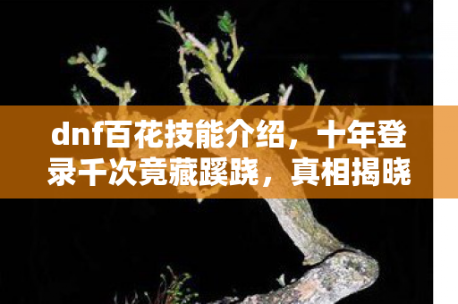 十年登录千次竟藏蹊跷图片