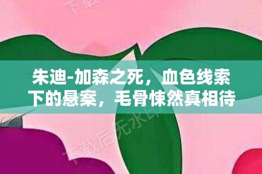 朱迪-加森之死，血色线索下的悬案，毛骨悚然真相待揭
