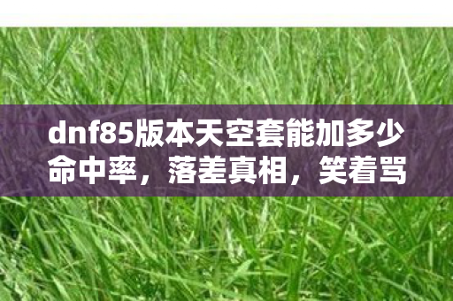 dnf85版本天空套能加多少命中率,落差真相,笑着骂完DNF85天空套,笑着笑着竟哭了 dnf85版本天空套能加多少命中率,落差真相,笑着骂完DNF85天空套,笑着笑着竟哭了