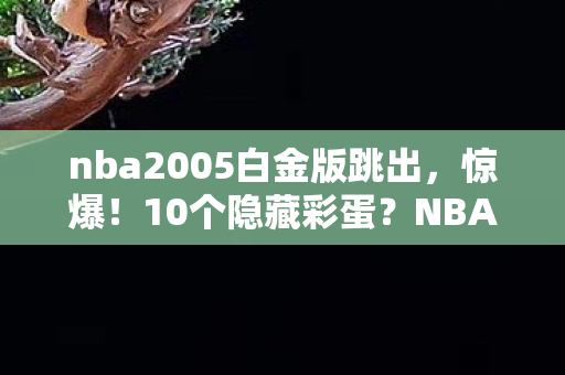 NBA2005白金补丁藏着多少开发者的疯狂执念图片