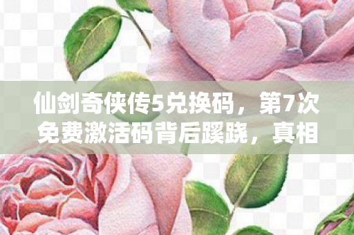 仙剑奇侠传5兑换码，第7次免费激活码背后蹊跷，真相揭晓时后背发凉！