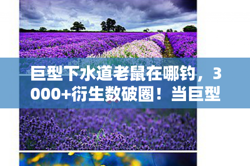 当巨型下水道老鼠周边攻陷我的生存空间图片
