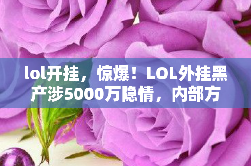 LOL外挂黑产涉5000万隐情图片
