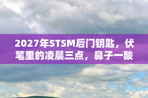 2027年STSM后门钥匙图片