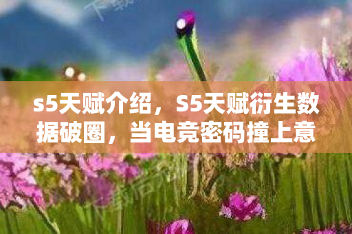 s5天赋介绍,S5天赋衍生数据破圈,当电竞密码撞上意想不到的潮流宇宙 s5天赋介绍,S5天赋衍生数据破圈,当电竞密码撞上意想不到的潮流宇宙
