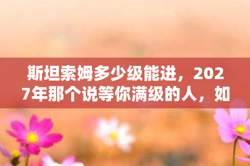 斯坦索姆多少级能进，2027年那个说等你满级的人，如今连ID都成了鼻子一酸的伏笔