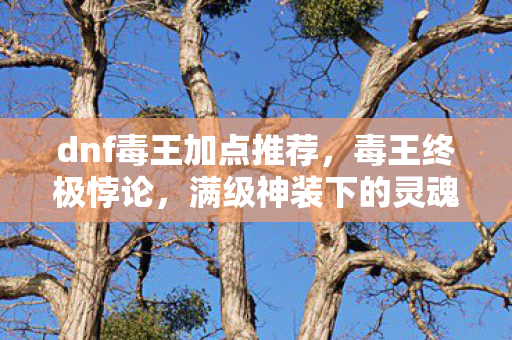 满级神装下的灵魂震颤图片