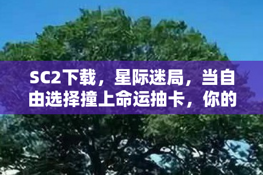 当自由选择撞上命运抽卡图片