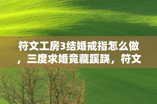 符文工房3结婚背后真相让人后背发凉图片