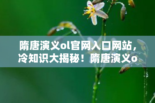 隋唐演义ol官网入口网站图片
