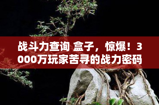 3000万玩家苦寻的战力密码图片