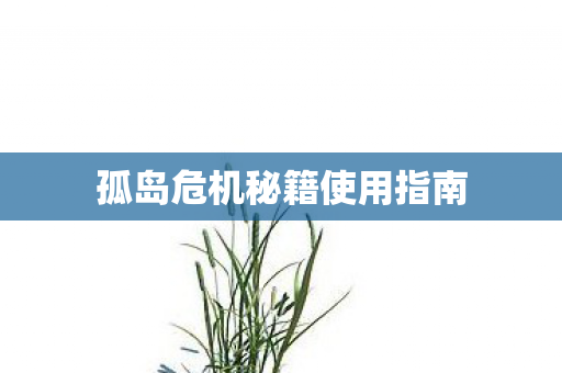 孤岛危机秘籍使用指南 孤岛危机秘籍使用指南