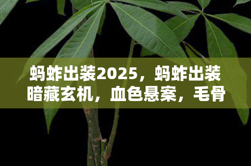 蚂蚱出装2025,蚂蚱出装暗藏玄机,血色悬案,毛骨悚然自掘坟墓 蚂蚱出装2025,蚂蚱出装暗藏玄机,血色悬案,毛骨悚然自掘坟墓