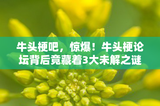 牛头梗论坛背后竟藏着3大未解之谜图片