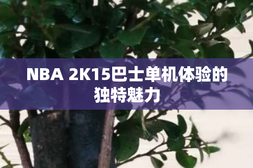 NBA 2K15巴士单机体验的独特魅力 NBA 2K15巴士单机体验的独特魅力