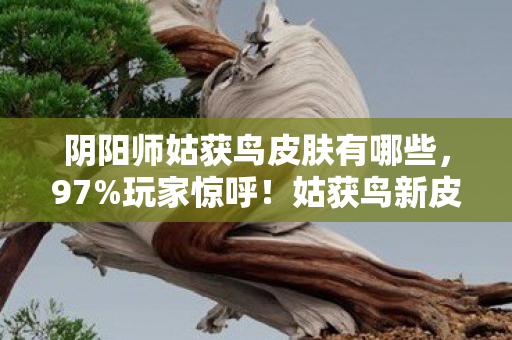 阴阳师姑获鸟皮肤有哪些图片
