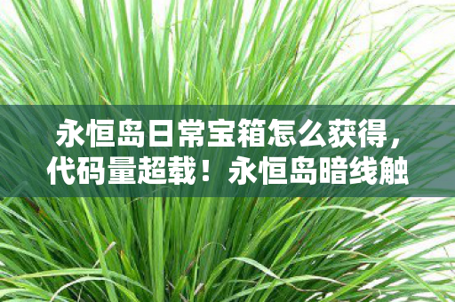 永恒岛暗线触发头皮发麻的量子级宝箱革命图片
