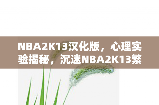 NBA2K13汉化版,心理实验揭秘,沉迷NBA2K13繁体中文硬盘版的细思极恐真相 NBA2K13汉化版,心理实验揭秘,沉迷NBA2K13繁体中文硬盘版的细思极恐真相