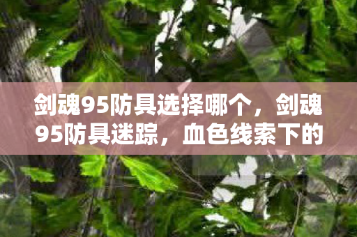 剑魂95防具选择哪个图片