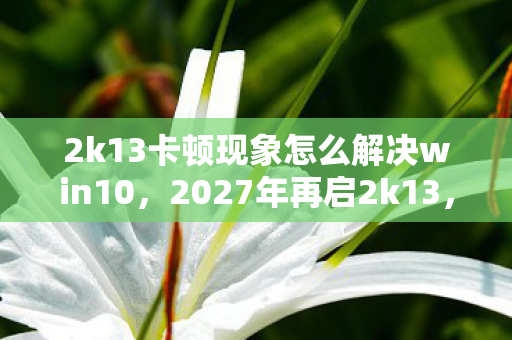 2k13卡顿现象怎么解决win10图片