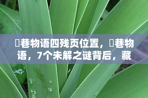 藏着制作组怎样的情感风暴图片