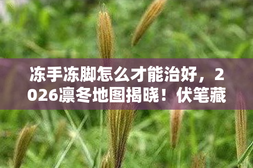 鼻子一酸忆当年游戏情深图片