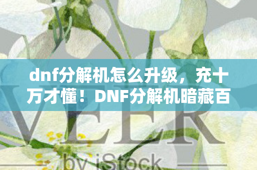 dnf分解机怎么升级,充十万才懂!DNF分解机暗藏百万吞金隐情,吓得我钱包都裂了! dnf分解机怎么升级,充十万才懂!DNF分解机暗藏百万吞金隐情,吓得我钱包都裂了!