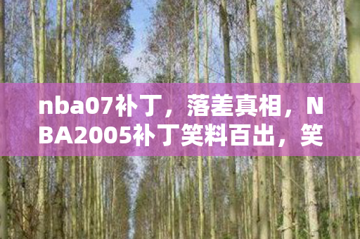 nba07补丁,落差真相,NBA2005补丁笑料百出,笑着笑着,我竟哭了 nba07补丁,落差真相,NBA2005补丁笑料百出,笑着笑着,我竟哭了