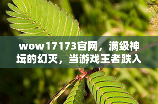 wow17173官网,满级神坛的幻灭,当游戏王者跌入现实废墟的灵魂震颤 wow17173官网,满级神坛的幻灭,当游戏王者跌入现实废墟的灵魂震颤