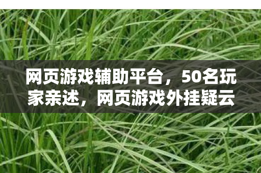 网页游戏外挂疑云重重图片