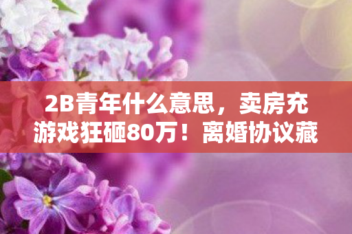 卖房充游戏狂砸80万图片