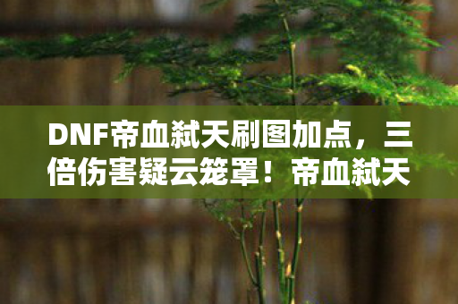 帝血弑天刷图加点背后的资本心寒局图片