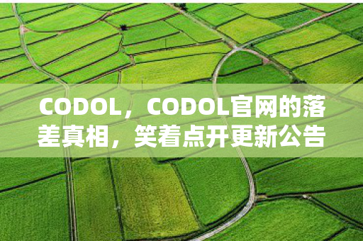 CODOL官网的落差真相图片
