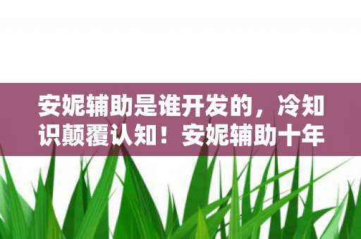 安妮辅助十年玩法竟全错图片