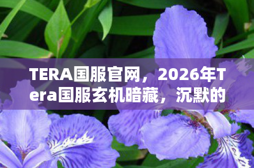 2026年Tera国服玄机暗藏图片