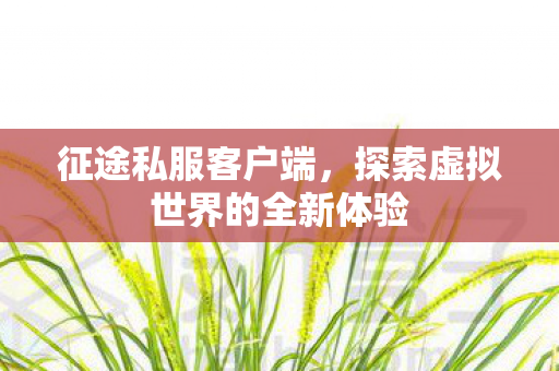 征途私服客户端,探索虚拟世界的全新体验 征途私服客户端,探索虚拟世界的全新体验