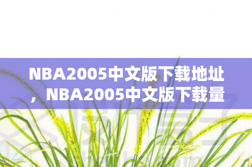 NBA2005中文版下载量破圈暴涨10000图片