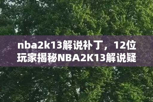 nba2k13解说补丁,12位玩家揭秘NBA2K13解说疑云,这细节谁顶得住? nba2k13解说补丁,12位玩家揭秘NBA2K13解说疑云,这细节谁顶得住?