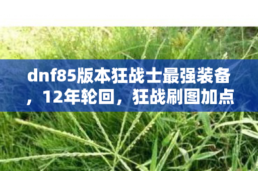 dnf85版本狂战士最强装备图片