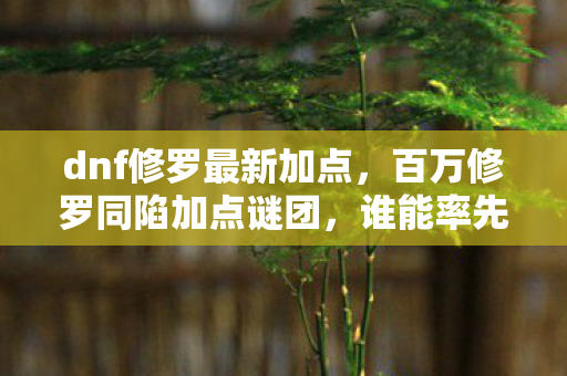 百万修罗同陷加点谜团图片