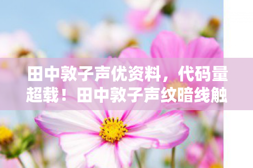 田中敦子声纹暗线触发灵魂共振系统图片