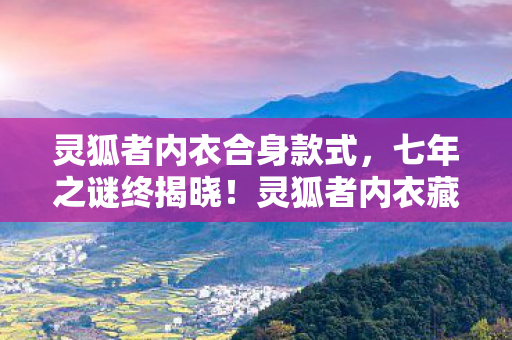 灵狐者内衣合身款式图片