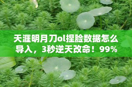 天涯明月刀ol捏脸数据怎么导入图片