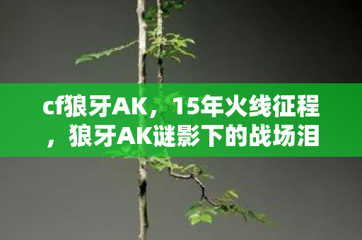 狼牙AK谜影下的战场泪目史诗图片