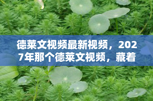 2027年那个德莱文视频图片